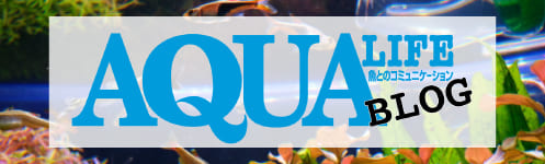 アクアライフブログ