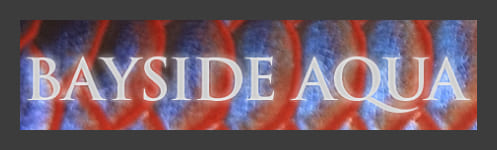 ベイサイドアクア